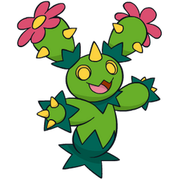 Maractus