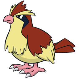 Pidgey