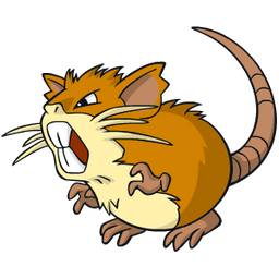 Raticate
